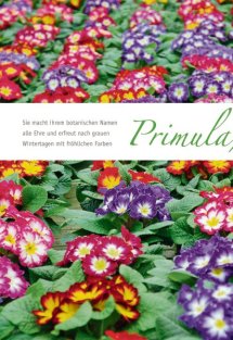 Land erleben Seite 16