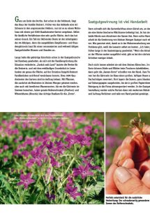 Land erleben Seite 7