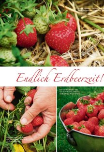 Land erleben Seite 10