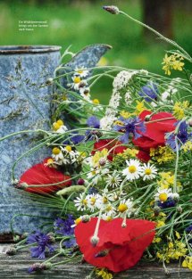 Land erleben Seite 14