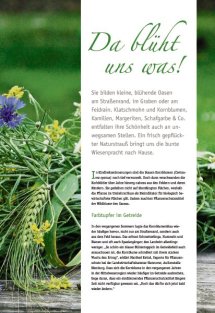 Land erleben Seite 15