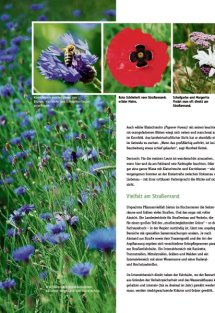 Land erleben Seite 16