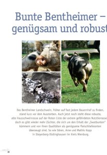 Land erleben Seite 20