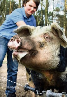 Land erleben Seite 21