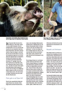 Land erleben Seite 22