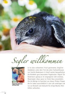 Land erleben Seite 24