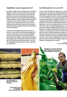 Land erleben Seite 13