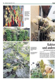 DIE HARKE Seite 20