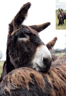 Land erleben Seite 20