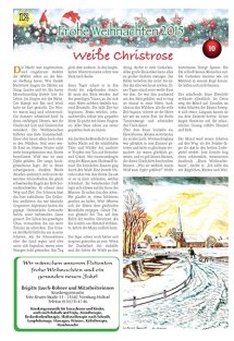 Weihnachtsbeilage Seite 12