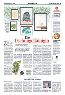 DIE HARKE Seite 35