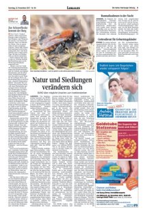 DIE HARKE am Sonntag Seite 3