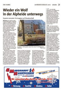 Jahresr&uuml;ckblick Seite 31