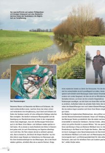 Land erleben Seite 30