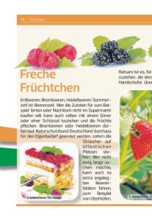 Draussen Seite 14
