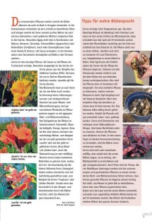 Land erleben Seite 7