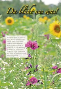 Land erleben Seite 8