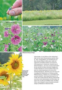 Land erleben Seite 10