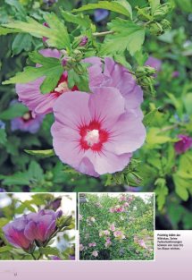 Land erleben Seite 12