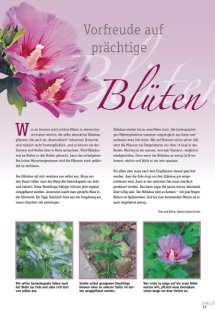 Land erleben Seite 13