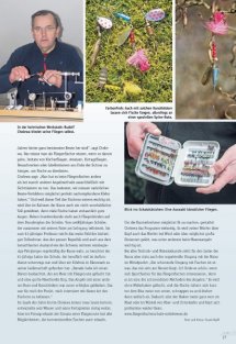 Land erleben Seite 17