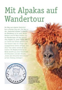 Land erleben Seite 19