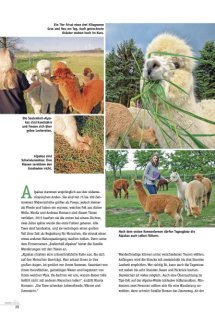 Land erleben Seite 20