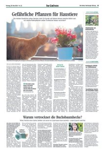 DIE HARKE Seite 15