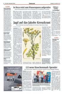 DIE HARKE am Sonntag Seite 8