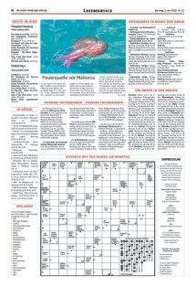 DIE HARKE am Sonntag Seite 16