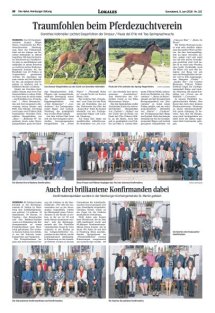 DIE HARKE Seite 22