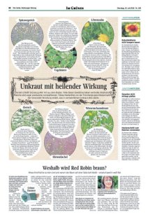 DIE HARKE Seite 30