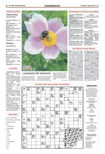 DIE HARKE am Sonntag Seite 16