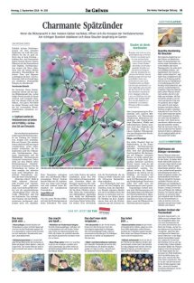 DIE HARKE Seite 15