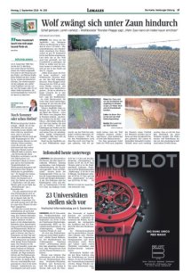 DIE HARKE Seite 17