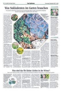 DIE HARKE Seite 22