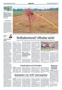 DIE HARKE Seite 17