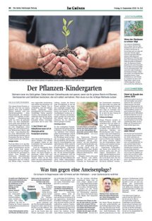 DIE HARKE Seite 34