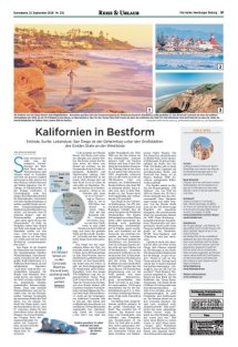 DIE HARKE Seite 37