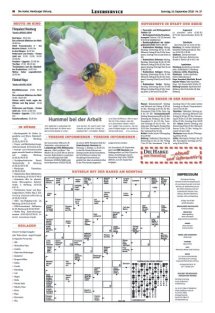 DIE HARKE am Sonntag Seite 16