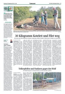 DIE HARKE Seite 17