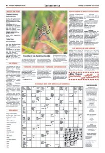 DIE HARKE am Sonntag Seite 20