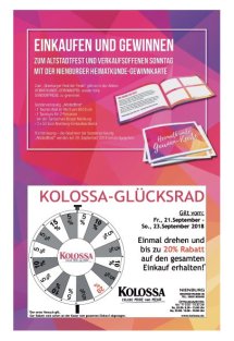 DIE HARKE am Sonntag Seite 29