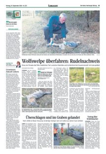 DIE HARKE Seite 15