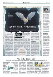 DIE HARKE Seite 16
