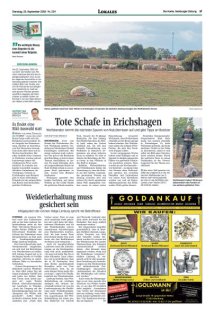 DIE HARKE Seite 17
