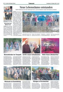 DIE HARKE Seite 20