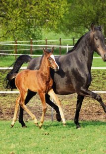 Land erleben Seite 30