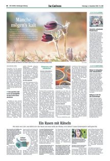 DIE HARKE Seite 30