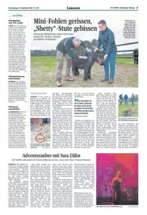 DIE HARKE Seite 11